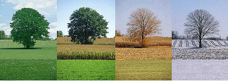 GOG喜加一：冒险解谜《灵界女孩》免费领取