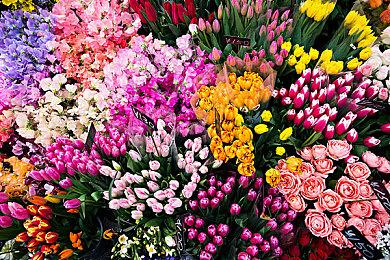 恐怖潜行FPS游戏新作《邪恶》将于2023年发售